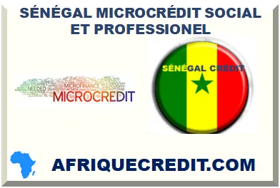 SÉNÉGAL MICROCRÉDIT SOCIAL ET PROFESSIONEL